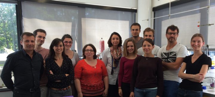 Equipe Innovation Moléculaire et Thérapeutique