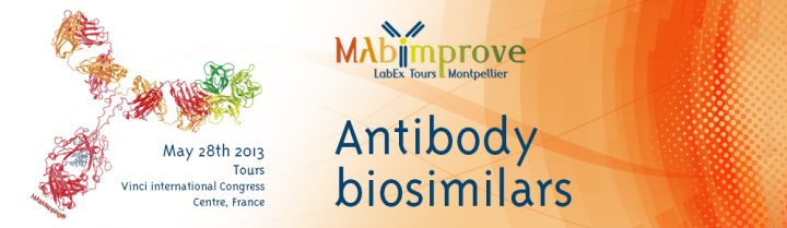 Assises 2013 - Antibody biosimilars